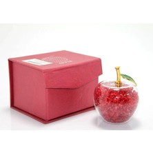 Just Cheap Store Dekoratif Cam Küre ALK1242