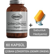Ersağ Ersag Çoban Çökerten (Demir Dikeni) Kapsül + (Sabunluk Hediyemiz) 4016-031
