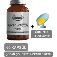Ersağ Çoban Çökerten (Demir Dikeni) Kapsül Takviye Edici Gıda + (Sabunluk Hediyemiz) 4016-036