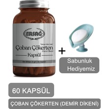 Ersağ Ersag Çoban Çökerten (Demir Dikeni) Kapsül + (Sabunluk Hediyemiz) 4016-033