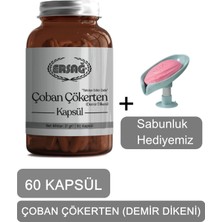 Ersağ Ersag Çoban Çökerten (Demir Dikeni) Kapsül Takviye Edici Gıda + (Sabunluk Hediyemiz) 4016-034