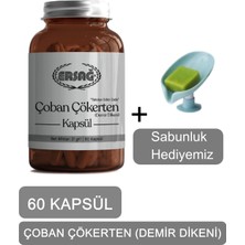 Ersağ Çoban Çökerten (Demir Dikeni) Kapsül Takviye Edici Gıda + (Sabunluk Hediyemiz) 4016-037