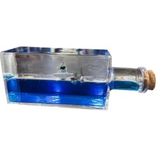 Just Cheap Store Şişe Içinde Batmayan Gemi ALK3414