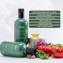Storemax Olizzi Premium Organik Natürel Sızma Zeytinyağı - Ödüllü, Erken Hasat, Soğuk Sıkım 500 ml