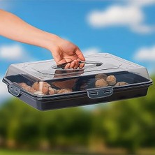 Storemax Borcam, Kek Taşıma Kabı, 44,5 x 30,5 Cm, Kapaklı (Siyah)