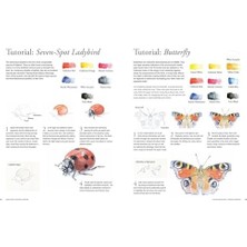 Storemax Watercolour The Natural World