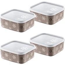Storemax 4'lü Set No Frost Saklama Kabı Terrra 700 ml