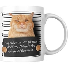 Storemax Pişman Değilim Komik Yazılı Kupa Bardak Hediyelik Çay Kahve Kupası Coffee Mug