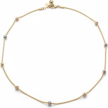 PIEDORA GOLD 14 Ayar Altın Top Detaylı Zincir Kolye – Minimal ve Şık Tasarım