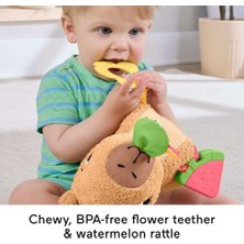 Storemax 3 Ay ve Üzeri Bebekler Için Yumuşacık Obur Kapi Duyusal Gelişim Oyuncağı, Yenidoğanlar Için Dişlik ve Çıngırak, HYR54