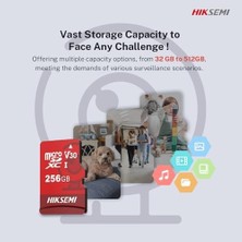 Storemax Hs-Tf-E1 256 GB Micro Sd