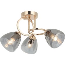Storemax Mastar 3'lü Altın Plafonyer 3XE27