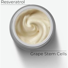 Storemax M.asam Vinolift Sıkılaştırıcı Yüz Kremi 50 ml