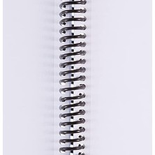 Storemax Renkli Spiralli Defter, A4, 100 Yaprak, 70G Kağıt, Düz Sayfa, Dayanıklı Kapak, Kolay Açılan Spiral Cilt, Asorti Renkler, Kullanışlı ve Şık Tasarım