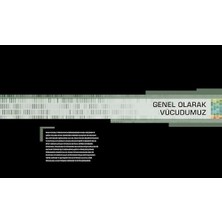 Storemax Vücut Kitabı (Ciltli): Insan Vücudunun Yapısı, Işlevleri ve Bozukluklarına Dair Resimli Bir Rehber