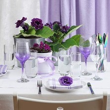 Storemax Fame 6'lı Goblet