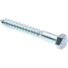 Storemax 9056275 Lag Vida, Altıgen Kafa, 3/20,3 x 7,6 Cm, Çinko Gümüş Kaplama Paslanmaz Çelik, 25 Adet