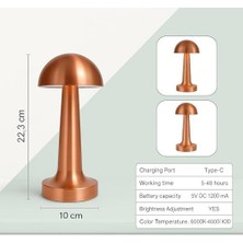 Storemax Elektrikürünleri Şarjlı Dokunmatik Masa Lambası Rose | 3 Renk Modu | Dimmerli Taşınabilir Şarjlı Lamba | USB Şarjlı Cafe Restoran Masa Lambası | Şık ve Kompakt Tasarım