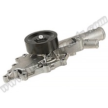 Rose Mercedes W211 W220 OM648 Devirdaim - - - M A6132000901