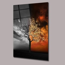 Yağmurun Altında Ki Turuncu Ağaç Manzara Cam Tablo PCT0778