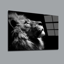 Siyah Beyaz Aslan 6 Hayvanlar Alemi Cam Tablo PCT0177