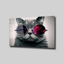 Glassual Art Gözlüklü Kedi Hayvanlar Alemi Cam Tablo PCT0394