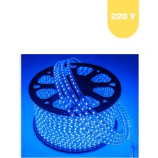 Powerr Led Aydınlatma 220 Volt Mavi 60 Ledli 3 Çipli Hortum LED 5 Metre Güç Kablosu Dahil