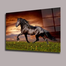 Glassual Art Günbatımında At Hayvanlar Alemi Cam Tablo PCT0612