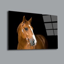 At 2 Hayvanlar Alemi Cam Tablo PCT0098