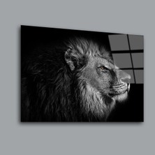 Glassual Art Siyah Beyaz Aslan 4 Hayvanlar Alemi Cam Tablo PCT0165