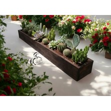 KRB Ahşap Ahşap Saksı 1 Metre, Çiçek Saksısı, Kaktüs ve Sukulentler Için Iç ve Dış Mekan Uyumlu