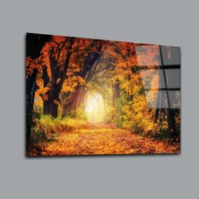 Sonbaharda Orman Manzara Cam Tablo PCT0091