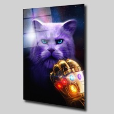 Glassual Art Işıklı Kedi Hayvanlar Alemi Cam Tablo PCT0334