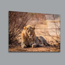 Aslan 9 Hayvanlar Alemi Cam Tablo PCT0133