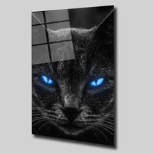 Glassual Art Mavi Gözlü Kedi Hayvanlar Alemi Cam Tablo PCT0252