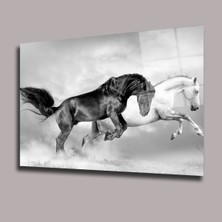 Glassual Art Siyah Beyaz At Hayvanlar Alemi Cam Tablo PCT0611