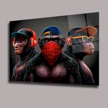 Glassual Art 3 Maymun Hayvanlar Alemi Cam Tablo PCT0615