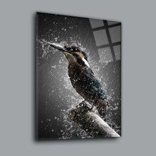 Kuş Hayvanlar Alemi Cam Tablo PCT0069