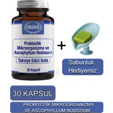 Ersağ Probiyotik Mikroorganizma ve Ascophyllum Nodosum Takviye Edici Gıda + Sabunluk Hediyemiz 2032-07