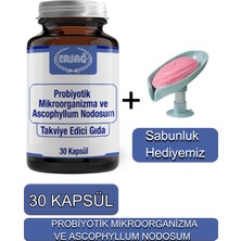 Ersağ Ersag Probiyotik Mikroorganizma ve Ascophyllum Nodosum Takviye + Sabunluk Hediyemiz 2032-04