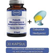 Ersağ Ersag Probiyotik Mikroorganizma ve Ascophyllum Nodosum Takviye + Sabunluk Hediyemiz 2032-06