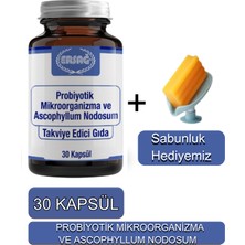 Ersağ Probiyotik Mikroorganizma ve Ascophyllum Nodosum Takviye + Sabunluk Hediyemiz 2032-05