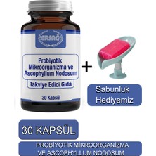 Ersağ Probiyotik Mikroorganizma ve Ascophyllum Nodosum  + Sabunluk Hediyemiz 2032-01