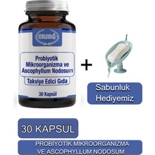 Ersağ Probiyotik Mikroorganizma ve Ascophyllum Nodosum Takviye Edici Gıda + Sabunluk Hediyemiz 2032-08