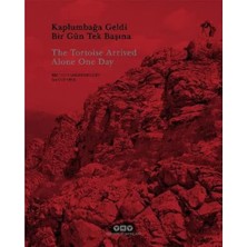 Storemax Kaplumbağa Geldi Bir Gün Tek Başına / The Tortoise Arrived Alone One Day