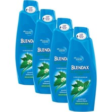 Blendax Isırgan Özlü 4X500 ml Saç Dökülmesine Karşı Güçlendirici ve Hacim Veren Şampuan Set