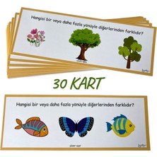 Farklı Olanı Bul Kartları, 20 Kart, Okulöncesi, Özel Eğitim
