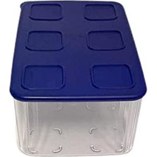 Storemax Şeffaf ve Taze 2,5 L Şeffaf Mavi Koyu Mavi Buzdolabı Sistemi Taze Sistem Konteyner Kapaklı Dikdörtgen