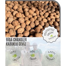 Biga  Chandler Kabuklu Ceviz 2 kg (Tarla Kuşu, Ilaçsız, Doğal Üretim, Yeni Hasat)