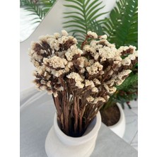 Ziva Dekor Beyaz Şoklanmış Statüs 50 Gram